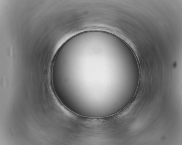 X0000090421533200707272100