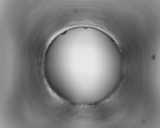 X0000090421534200707272100