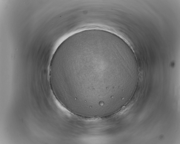 X0000090421535200707272100