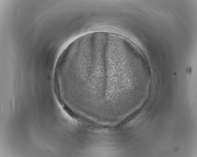 X0000090421536200707272100