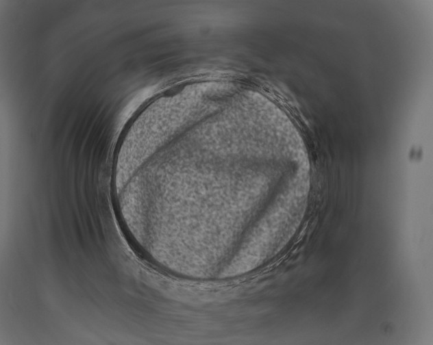 X0000090420003200708031117