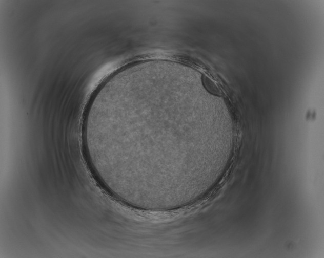 X0000090420006200708031117