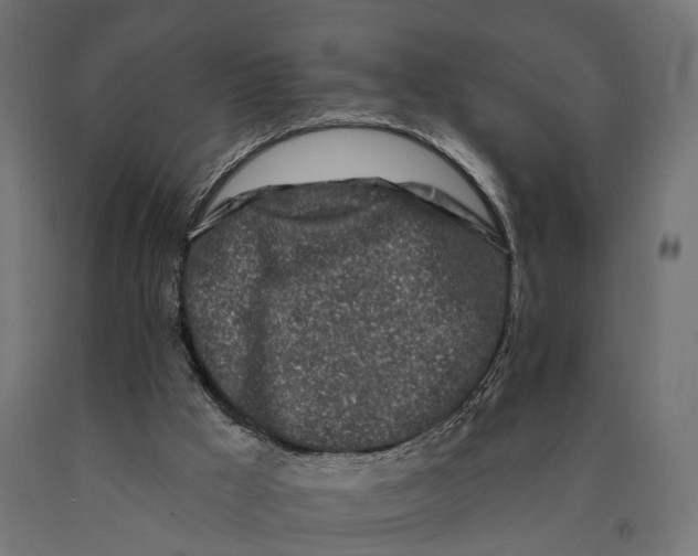 X0000090420009200708031117