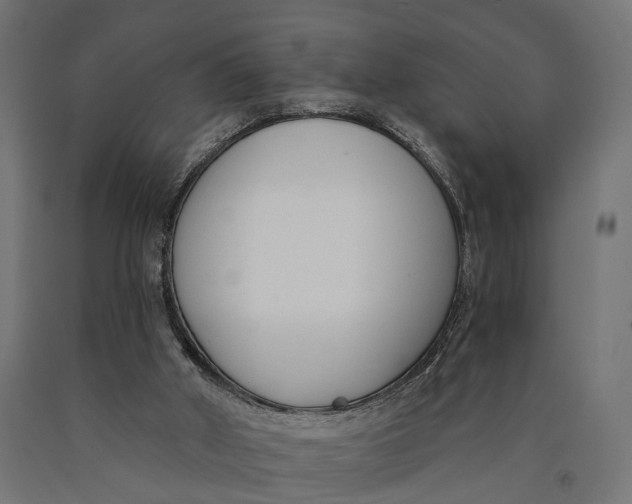 X0000090420010200708031117