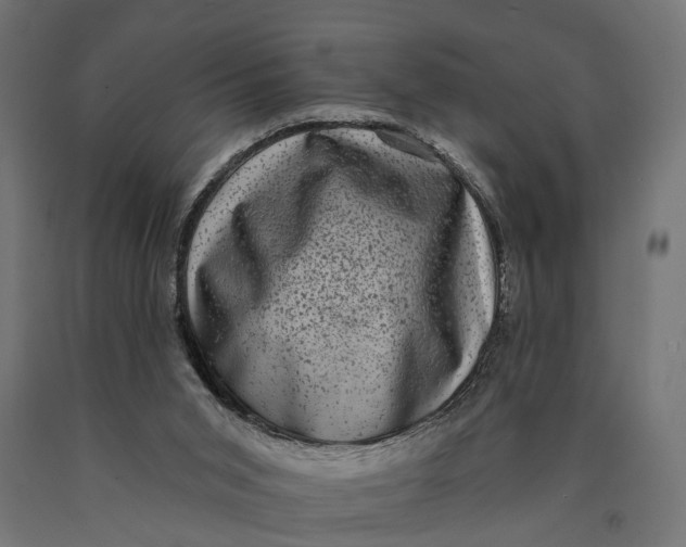 X0000090420015200708031117