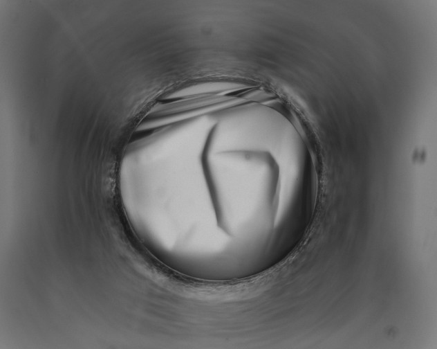 X0000090420017200708031117