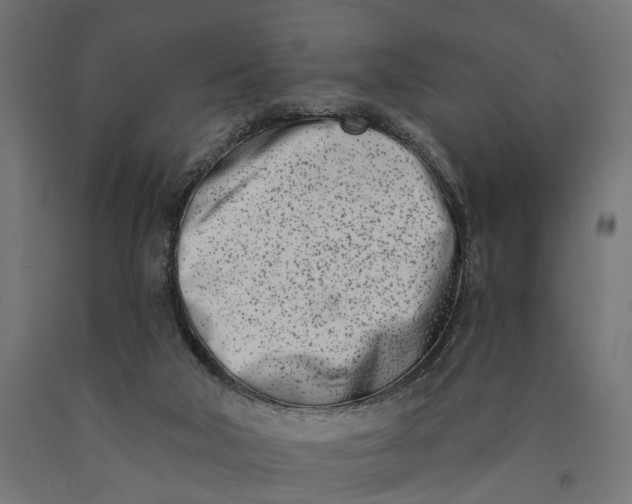 X0000090420018200708031117