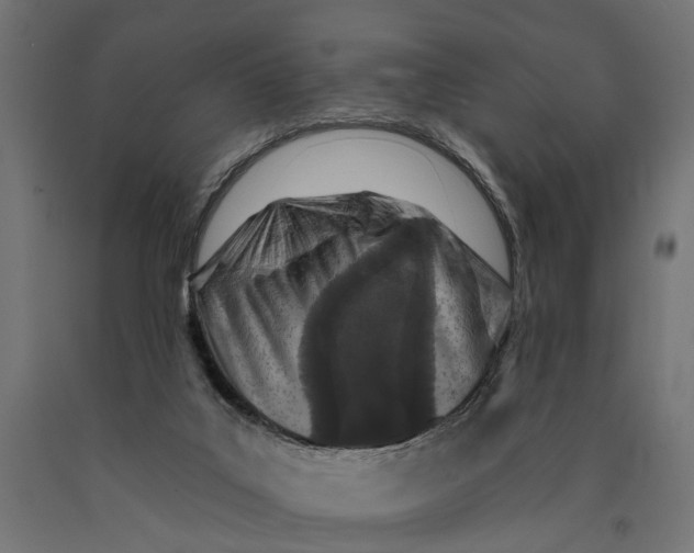 X0000090420019200708031117