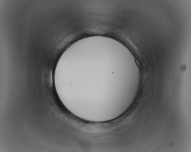 X0000090420020200708031117