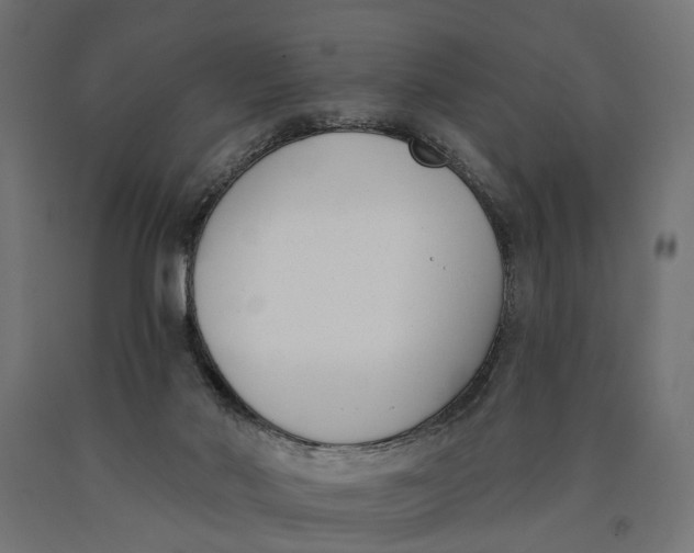 X0000090420022200708031117