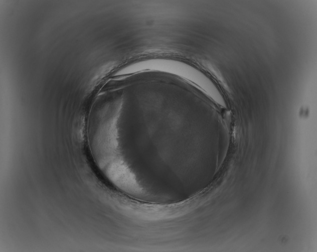 X0000090420023200708031117