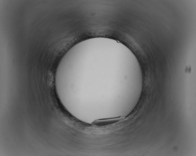 X0000090420025200708031117