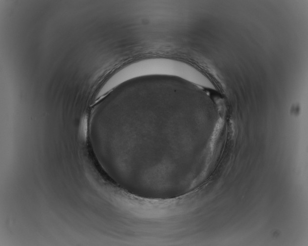 X0000090420027200708031117