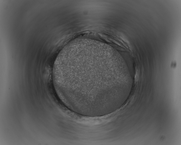 X0000090420029200708031117