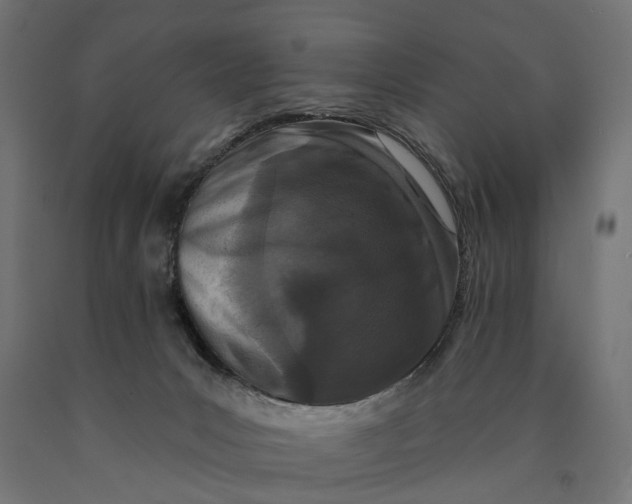 X0000090420031200708031117