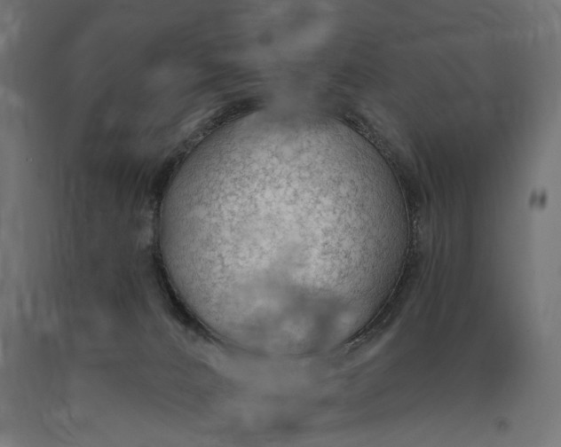 X0000090420032200708031117