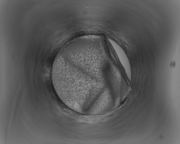 X0000090420033200708031116