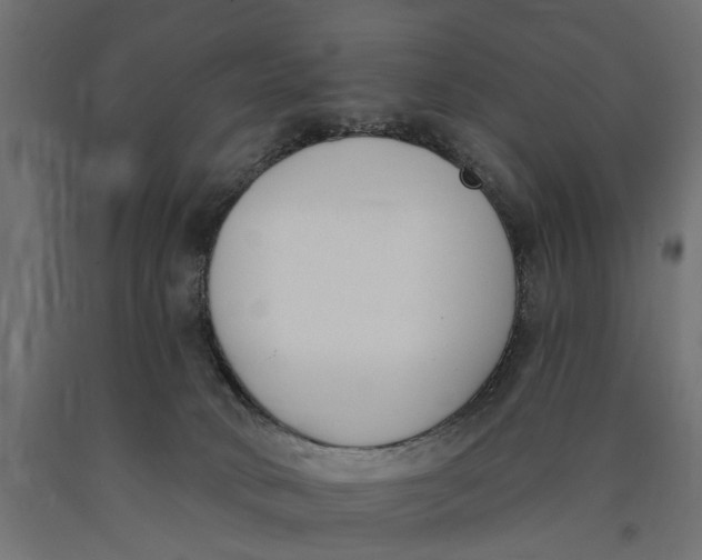 X0000090420034200708031116