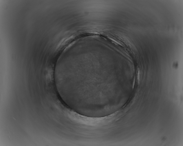 X0000090420035200708031116