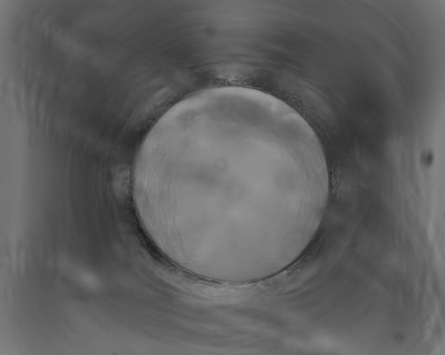 X0000090420036200708031116