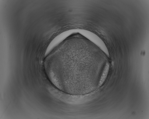 X0000090420037200708031116