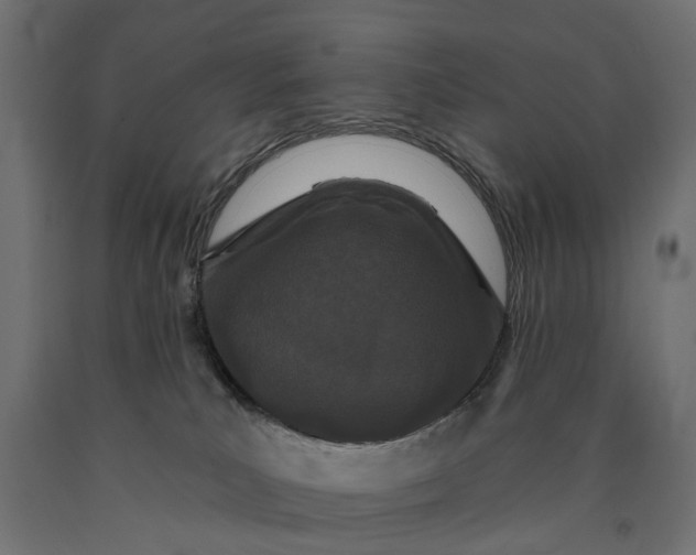 X0000090420039200708031116