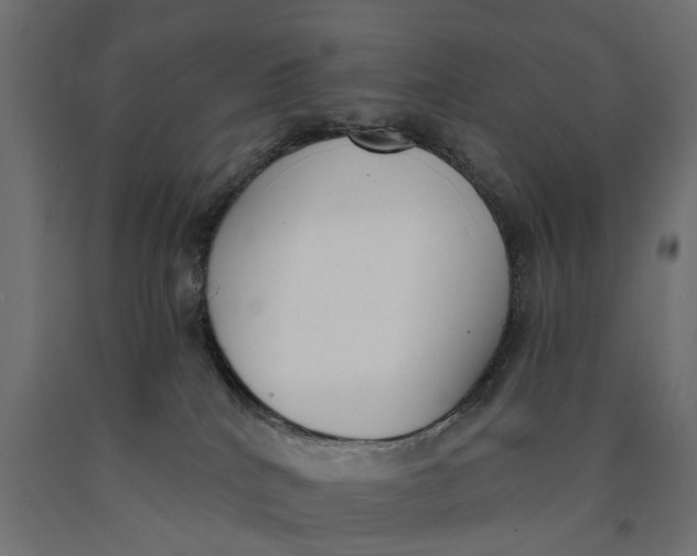 X0000090420040200708031116