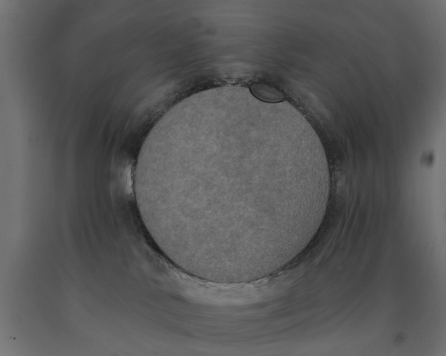 X0000090420042200708031116