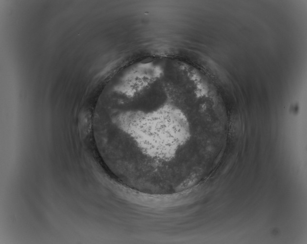 X0000090420043200708031116