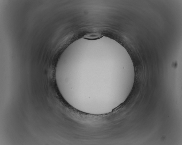 X0000090420044200708031116