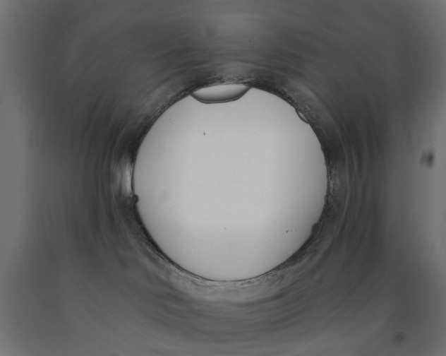 X0000090420046200708031116