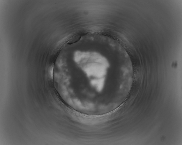 X0000090420047200708031116