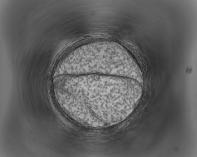 X0000090420049200708031115