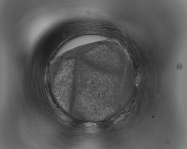 X0000090420052200708031115