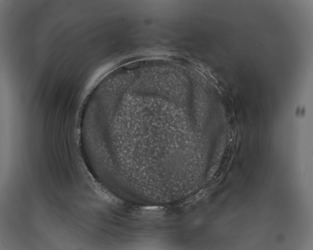 X0000090420053200708031116