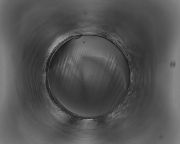 X0000090420054200708031116