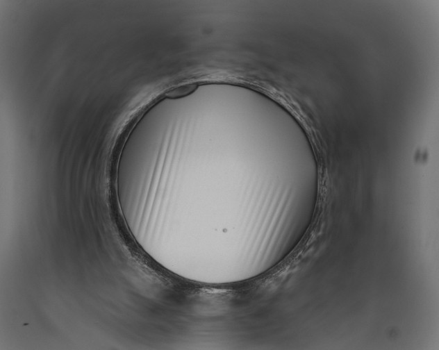 X0000090420055200708031116