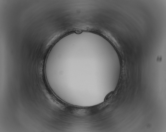 X0000090420058200708031116