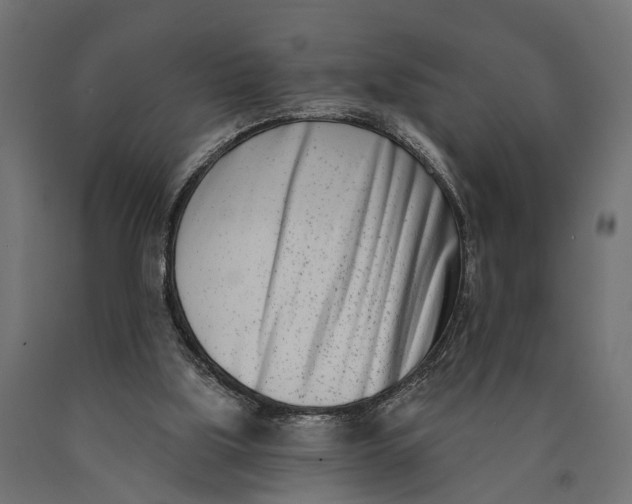 X0000090420059200708031116