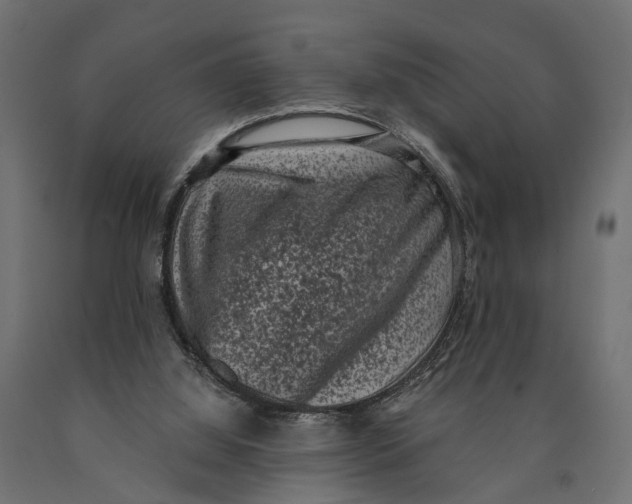 X0000090420060200708031116