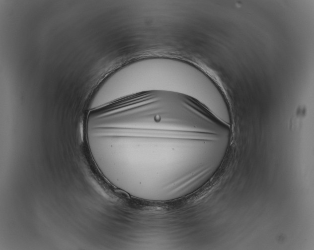 X0000090420061200708031116