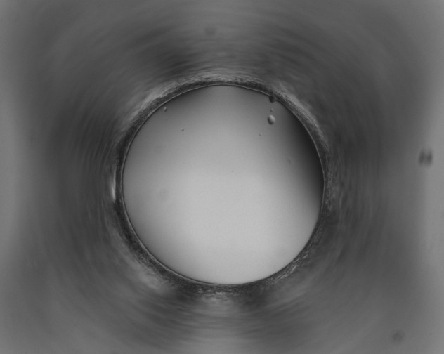 X0000090420062200708031116