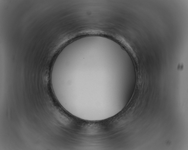 X0000090420063200708031116