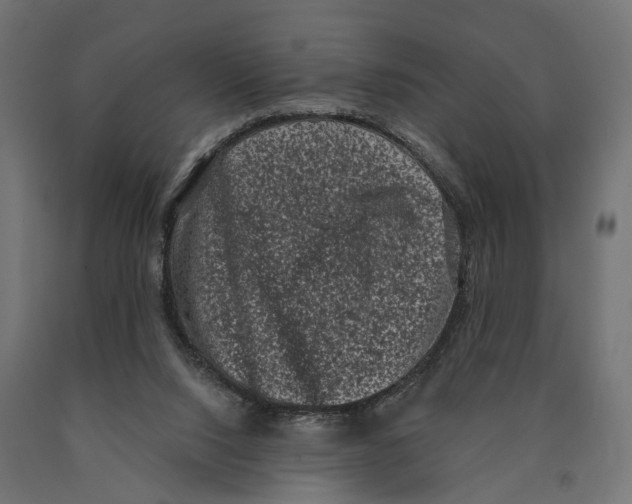 X0000090420064200708031116