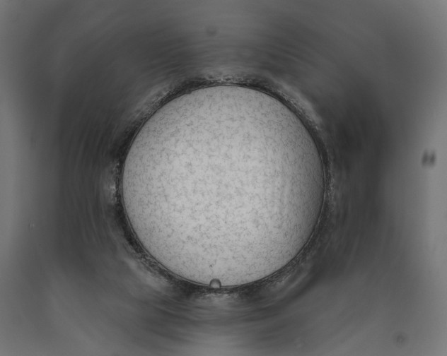 X0000090420065200708031116