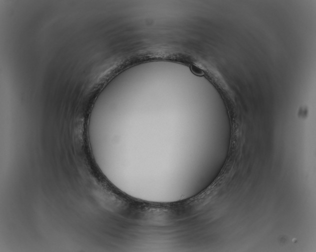 X0000090420066200708031116