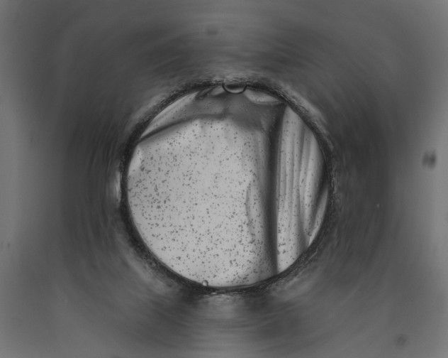 X0000090420067200708031116