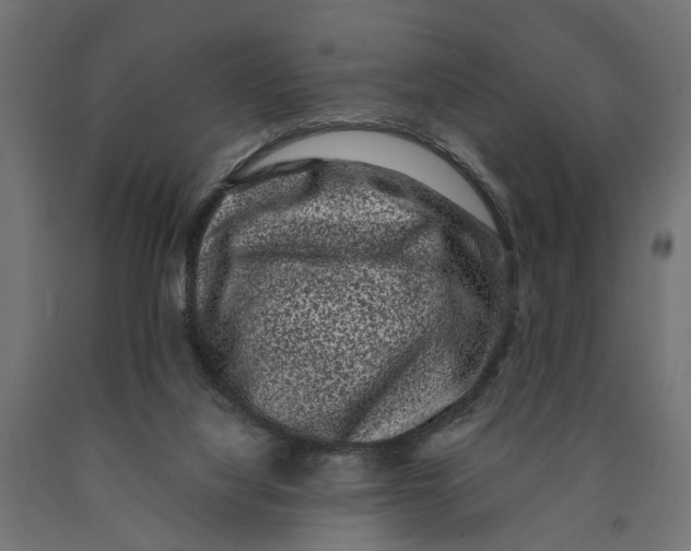 X0000090420068200708031116