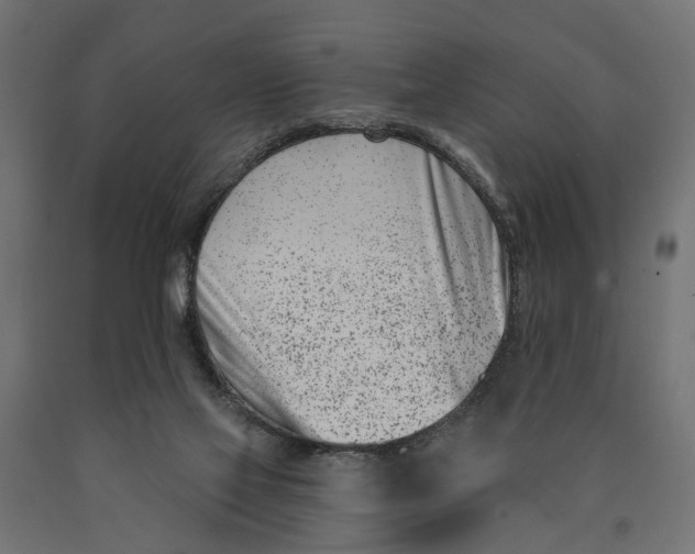 X0000090420069200708031116