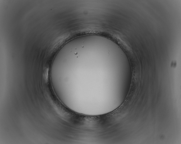 X0000090420070200708031116